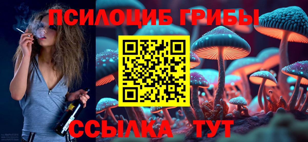 Благовещенск  Галлюциногенные грибы GOLDEN TEACHER  Галлюциногенные грибы MAGIC MUSHROOMS  Вход с VPN 